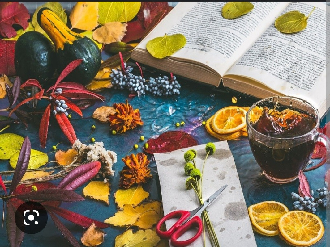 Screenshot_20221126-222336_Chrome