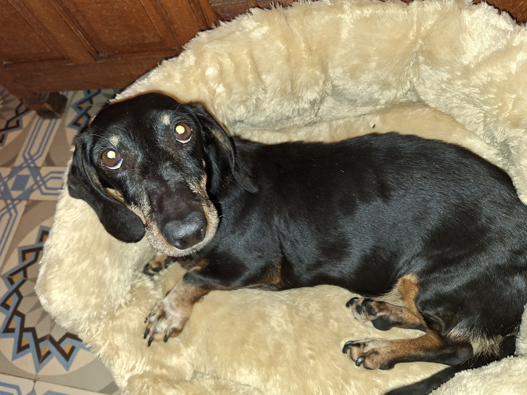 [Image: 20240613-211509.jpg]