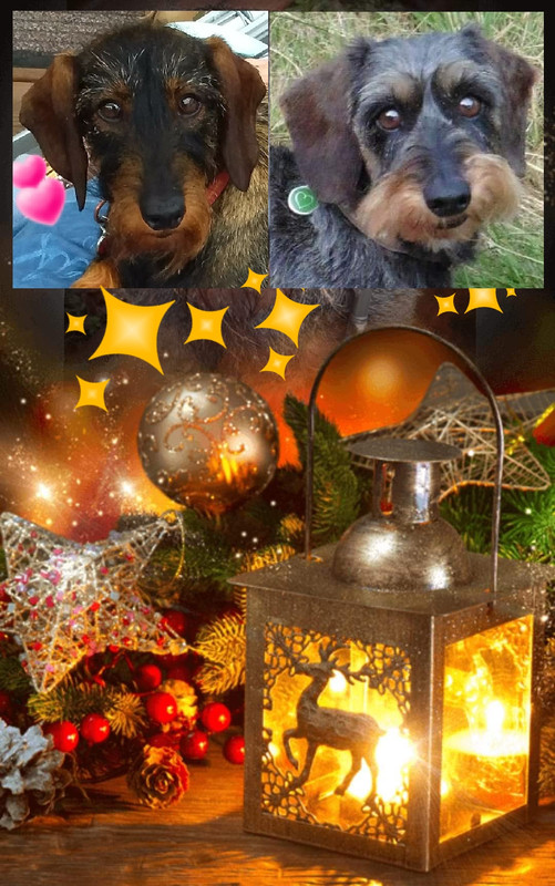 [Image: 20211205-095747.jpg]