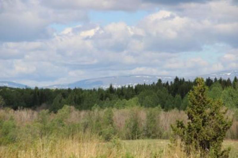 Лозьва 2013 166