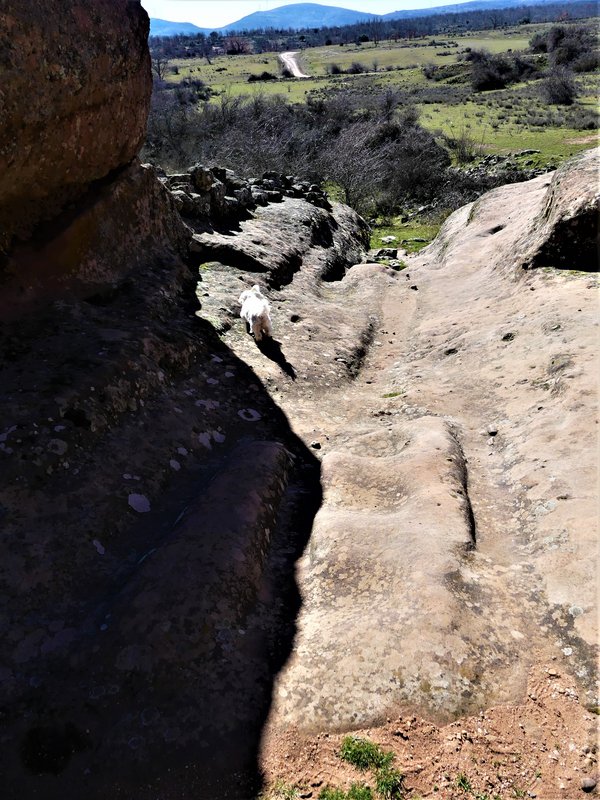 YACIMIENTO ARQUEOLOGICO DE TIERMES-16-2-2020 - Soria y sus pueblos-2010/2013/2020 (112)