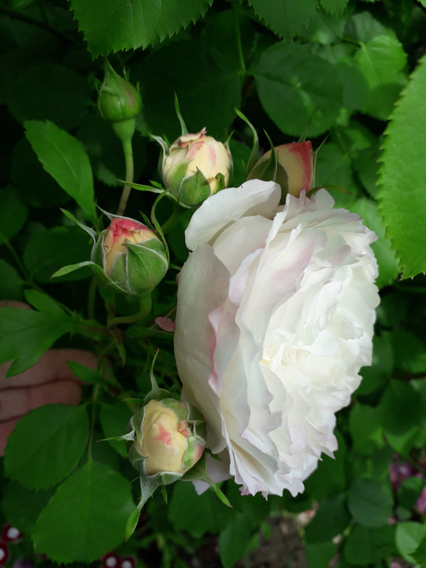 20190604_104345