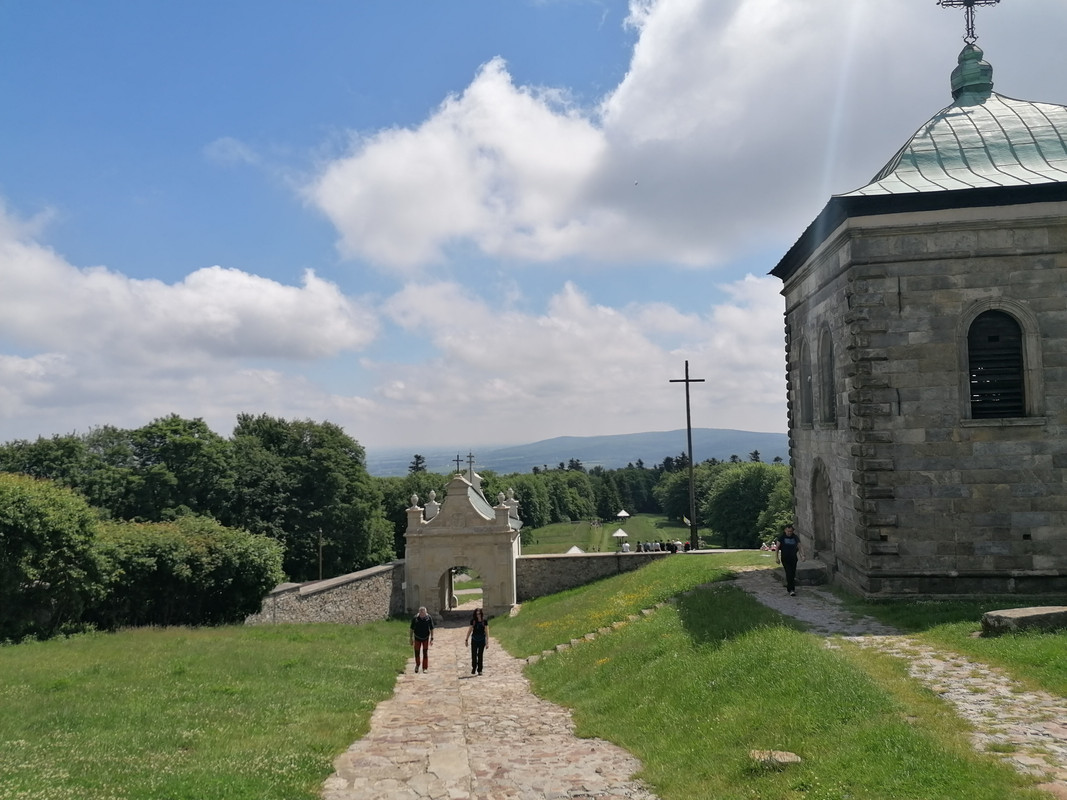 02.21 - IMG_20200611_114504 (Czesio1)