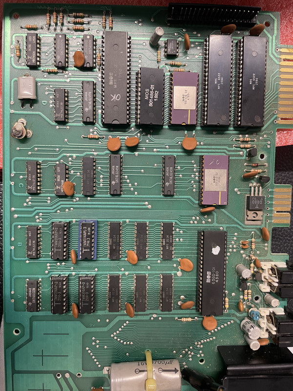 IMG 3580
