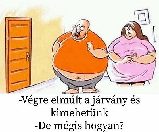 https://i.postimg.cc/GmBGBxbC/vegre-elmult.jpg