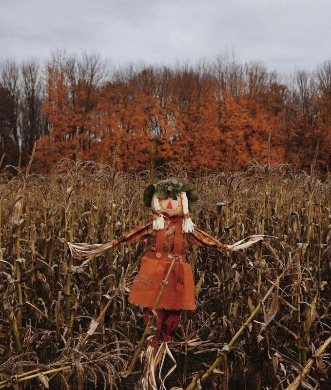 Screenshot_20231206_222216_Instagram