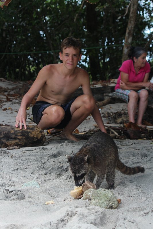 DE TORTUGAS Y PEREZOSOS. COSTA RICA 2019 - Blogs de Costa Rica - DIA 14: PARQUE DE MANUEL ANTONIO (40)