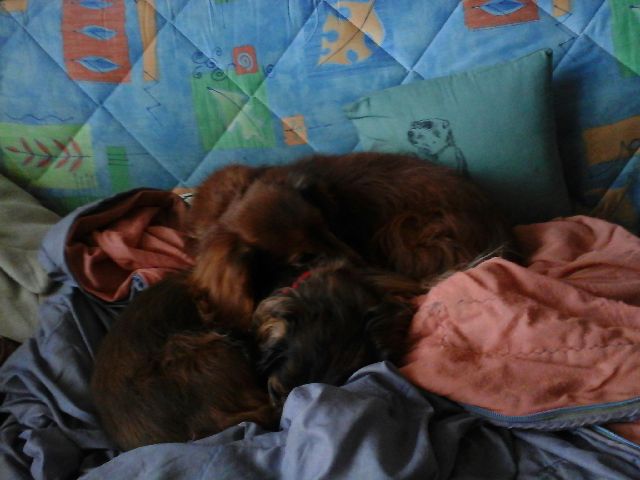 [Image: 20210228-170342.jpg]