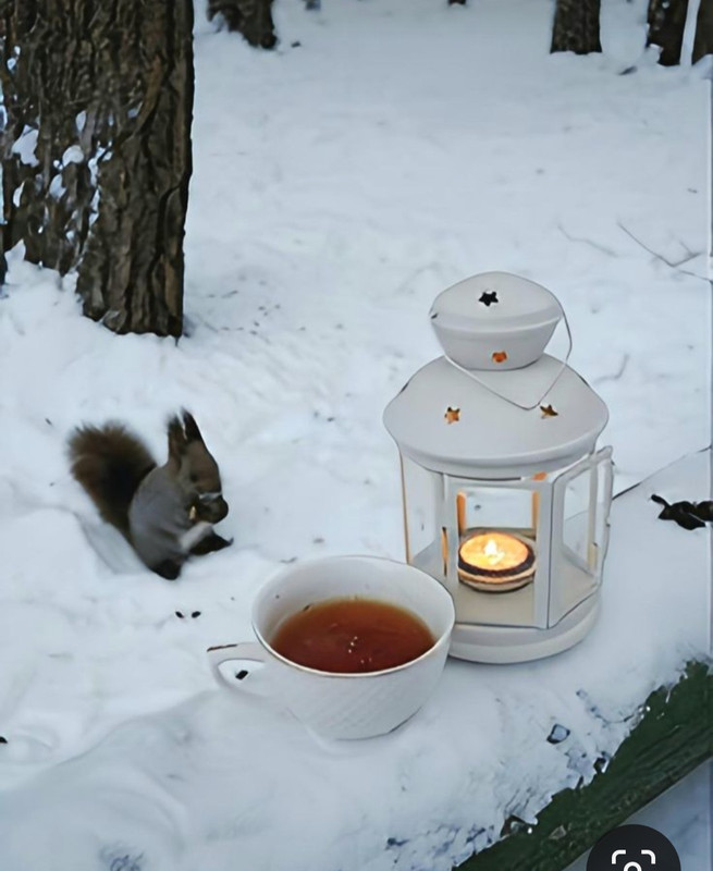 Screenshot_20231111_145759_Pinterest