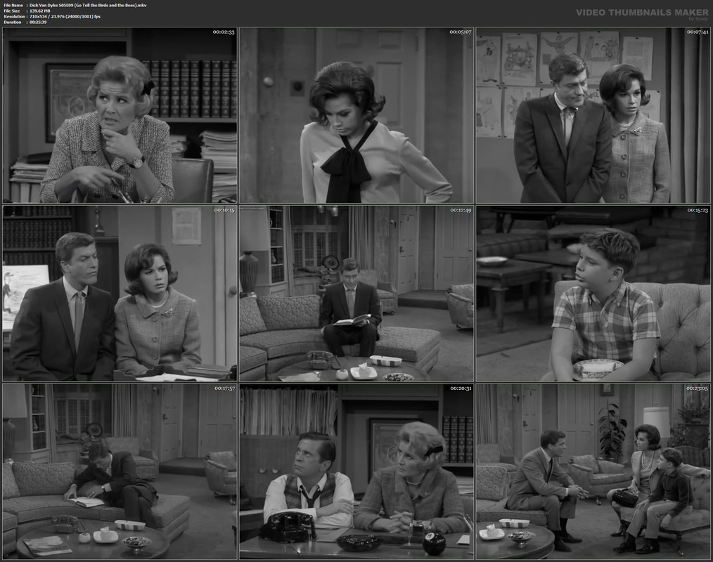 Dick Van Dyke S05E09 (Go Tell the Birds and the Bees).mkv