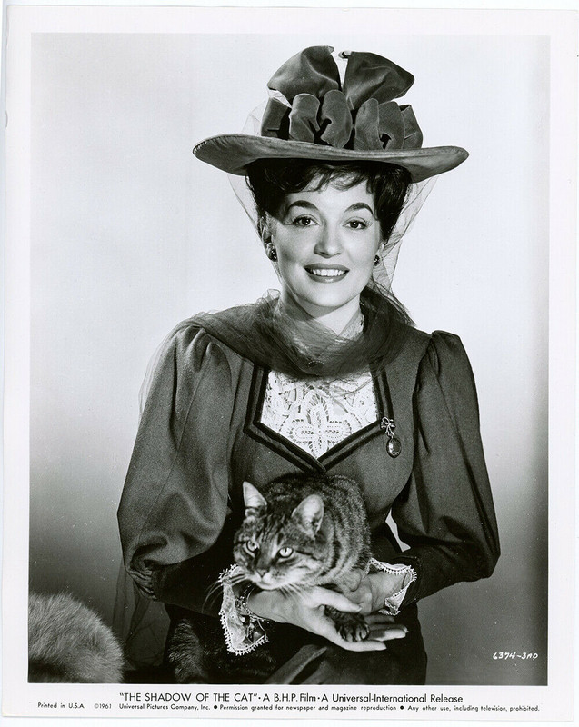 barbara shelley 61 kitty