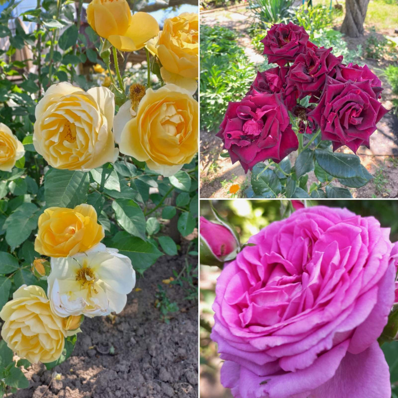 изображение_viber_2023-06-14_15-13-04-857