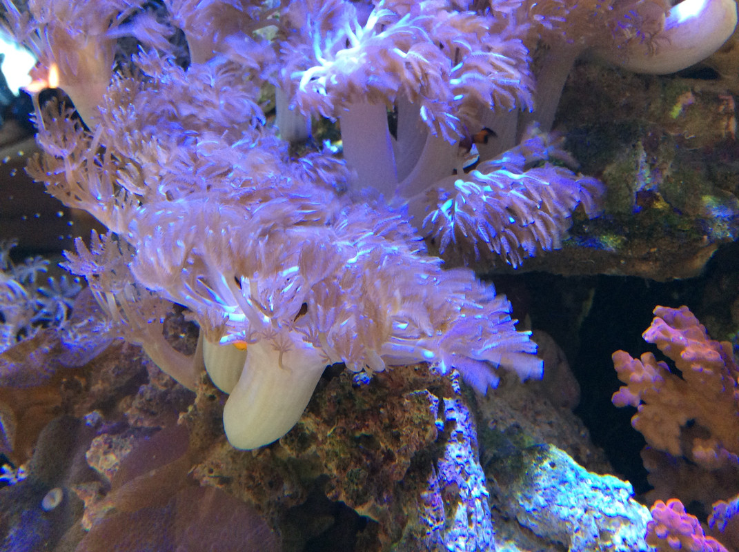 8EEC39EC-1FCD-4345-AB38-CE76E2A920E0