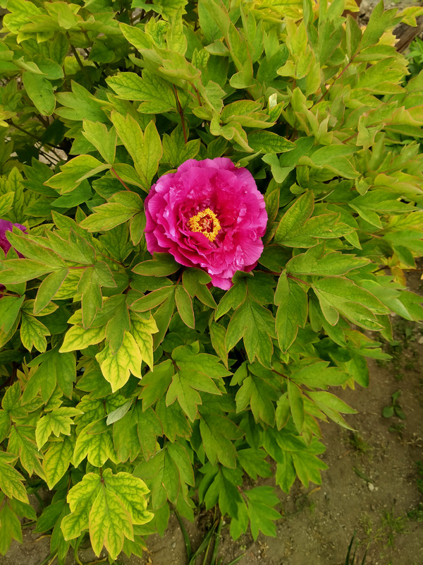 IMG20220416165922