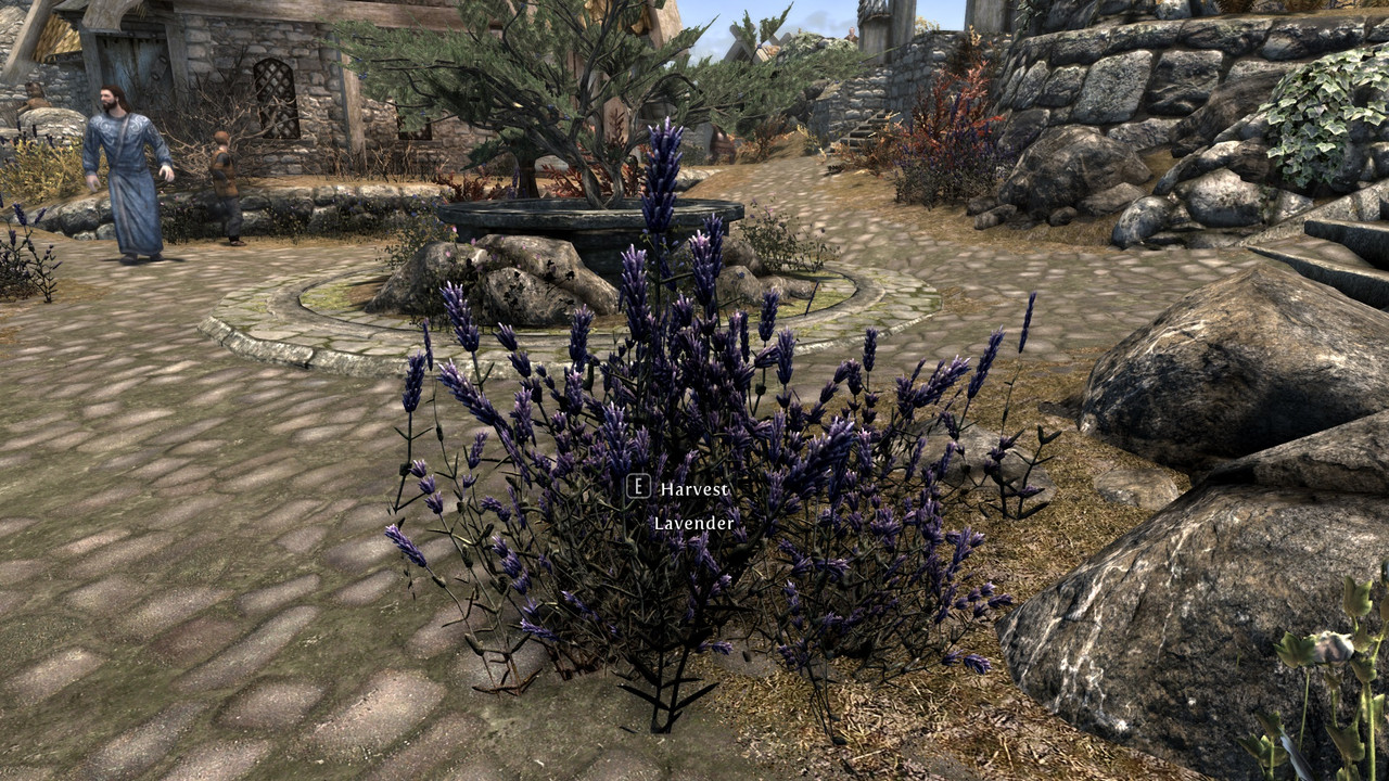 The-Elder-Scrolls-V-Skyrim-Special-Editi