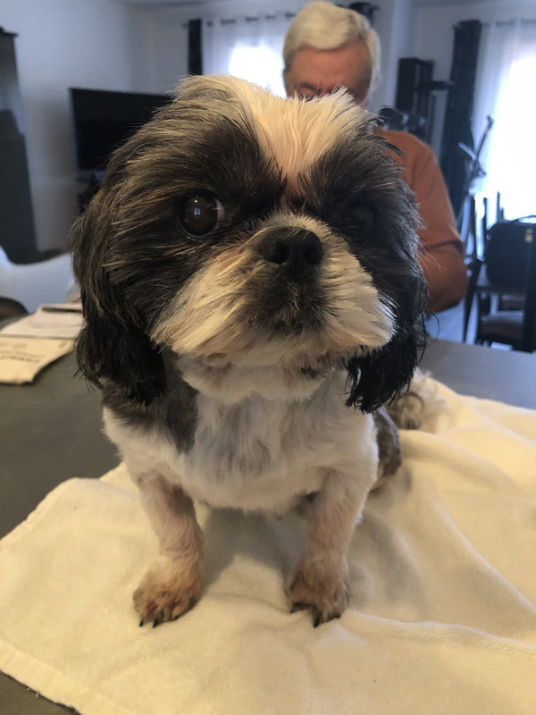 [Image: E2089305-BAC6-42-F5-B756-EA4769609022.jpg]