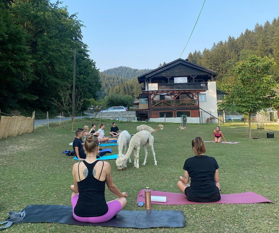 295015822_802453160911770_3214511813071772393_n