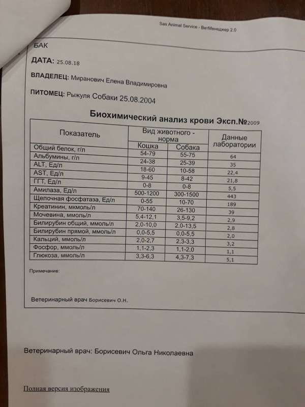 171E9160-A704-4DE1-9F9E-77D08FD90090