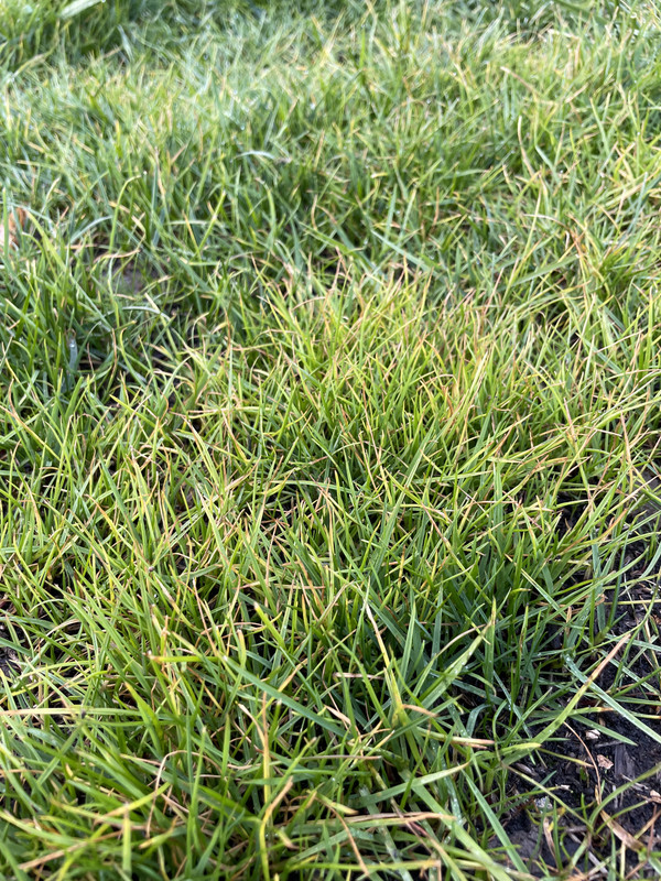 FDA73788-F8E6-4AAA-BD29-8A8455F055CE