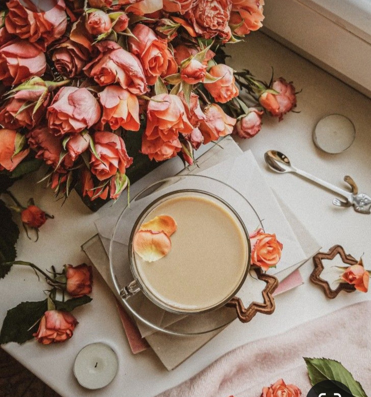 Screenshot_20230418_214039_Pinterest