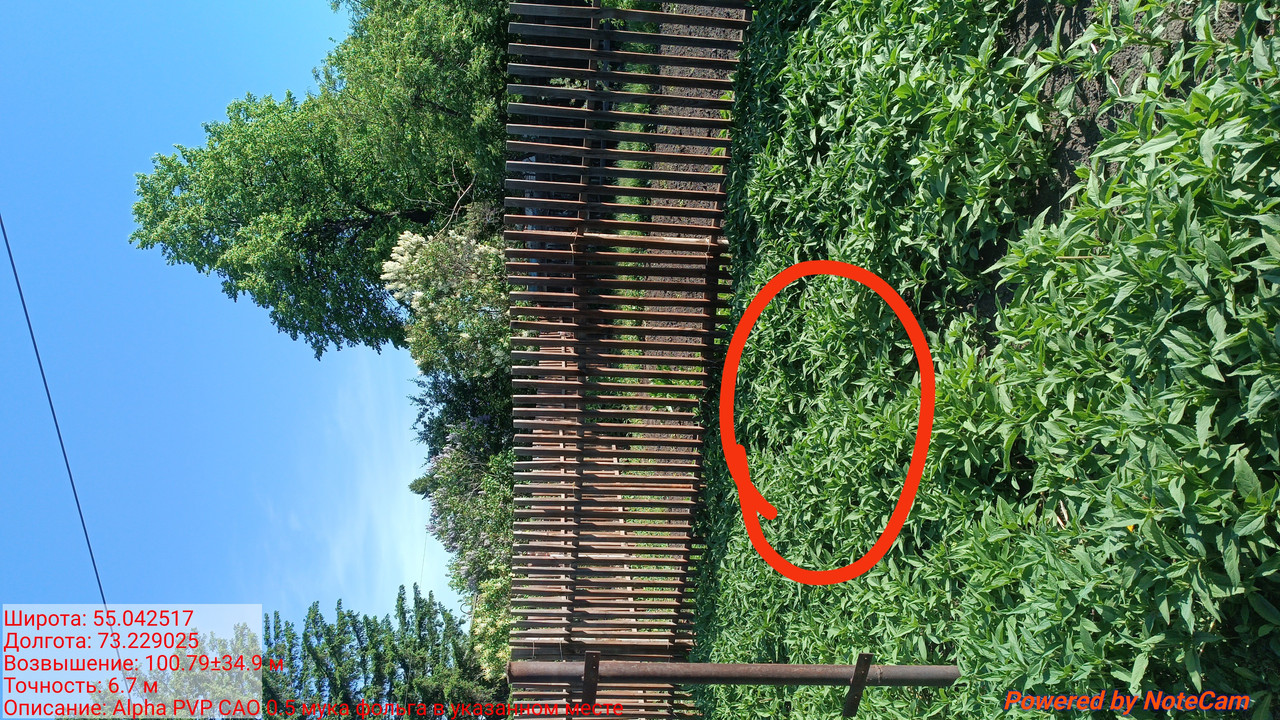 IMG 20260519 090539
