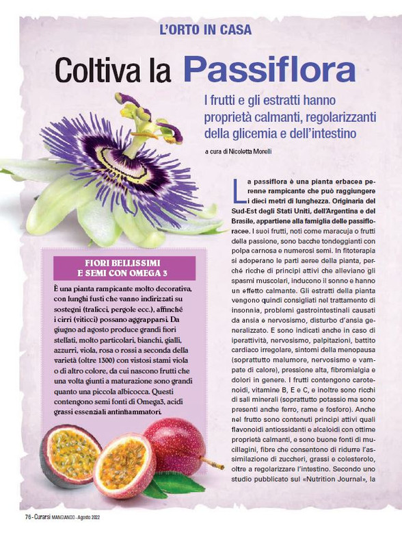 Cur Mang Ago 2022 (11)