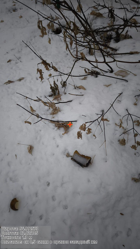 photo 21 2025 11 23 18 14 43