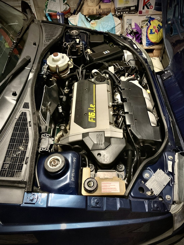 D0AABD69-5274-4D2D-BA7B-264DC03B847A