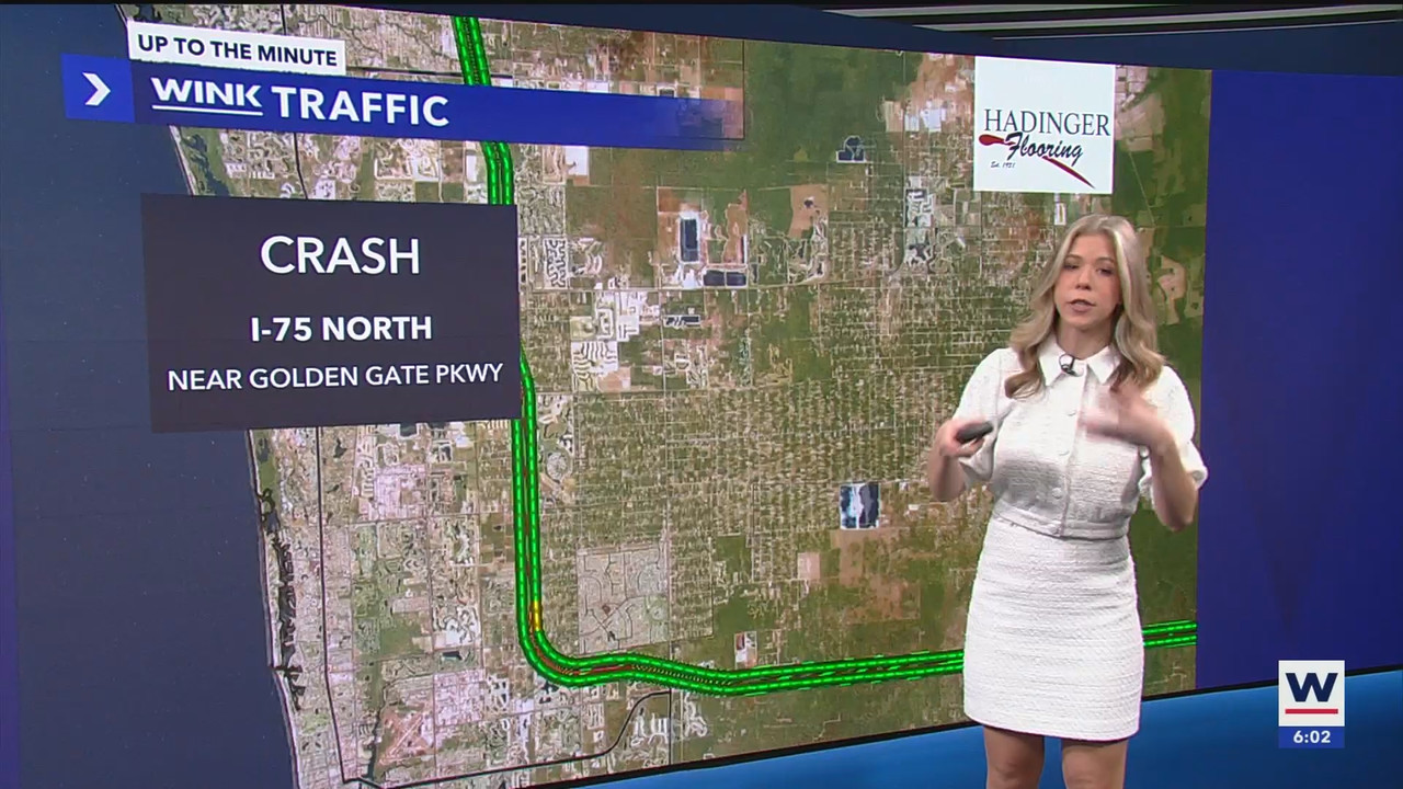 WINK News at 600am_20250117_11001130.ts_snapshot_03.02.668