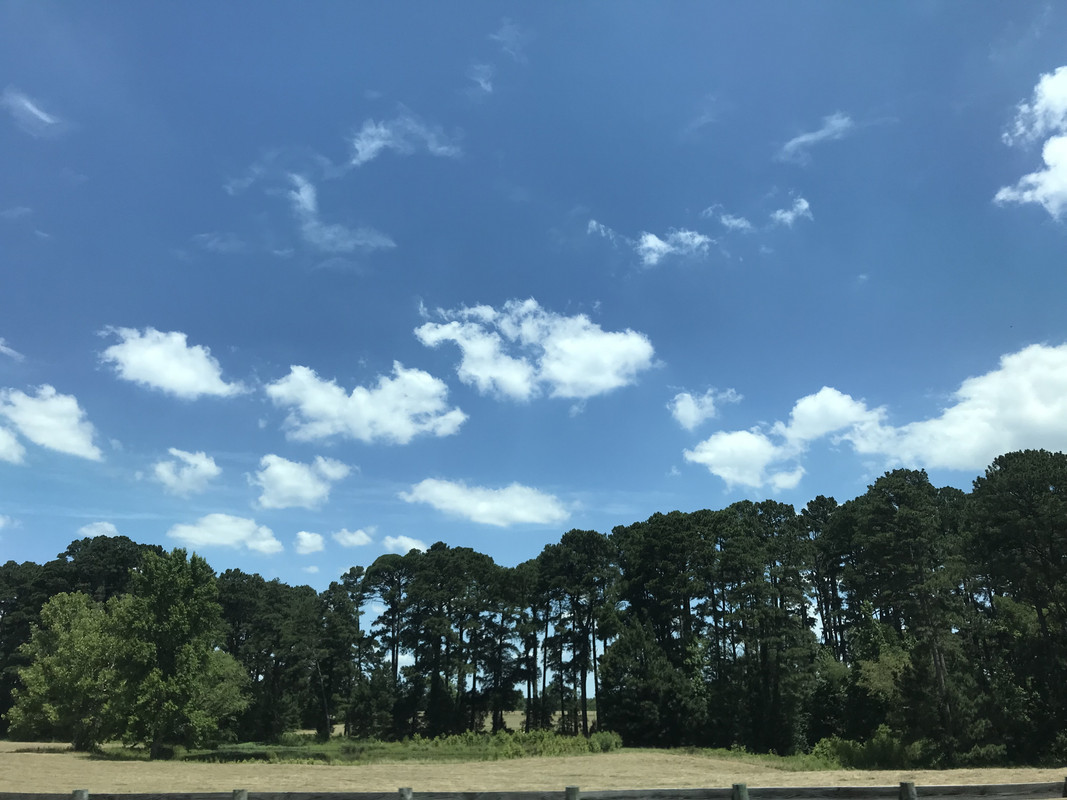 D24726AB-DBE0-44A8-A712-2F6750DC5C82