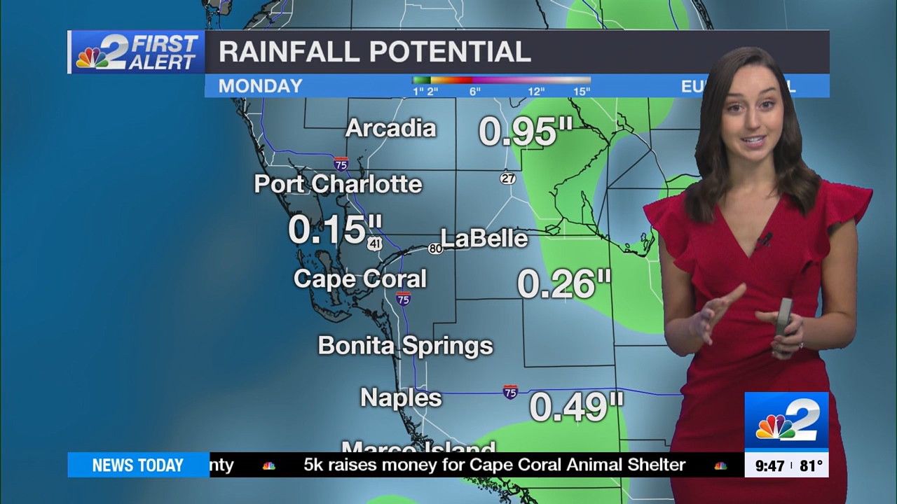 04.16 - 14.00.00 - NBC 2 News Today - Sunday  ᴺᵉʷ..ts_snapshot_00.53.59.503
