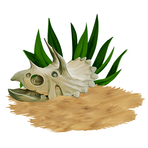 KBK_AdventureIsland (81)