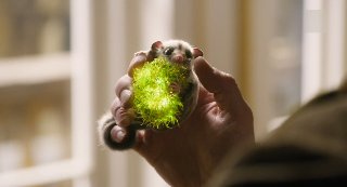 Dolttle.2019.1080p.HDRip.x264.AC3-EVO(Q).mkv_snapshot_01.24.39.5