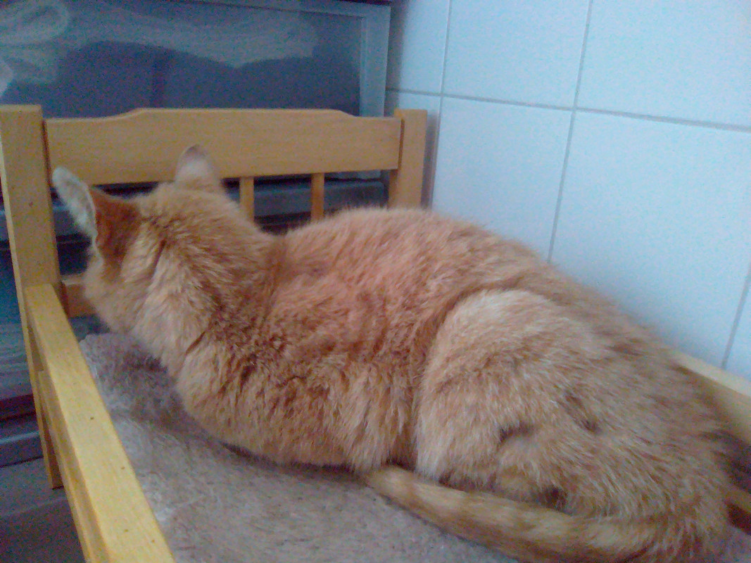 Злата в начале жизни у нас (10)