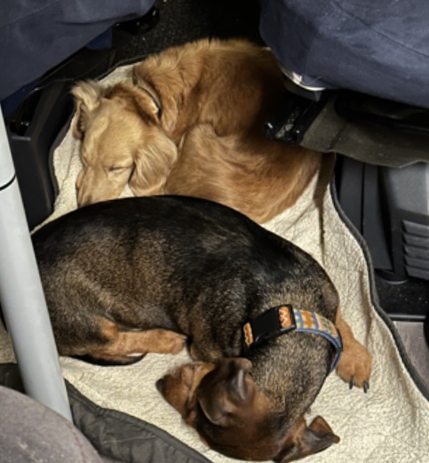 [Image: IMG-9417.jpg]