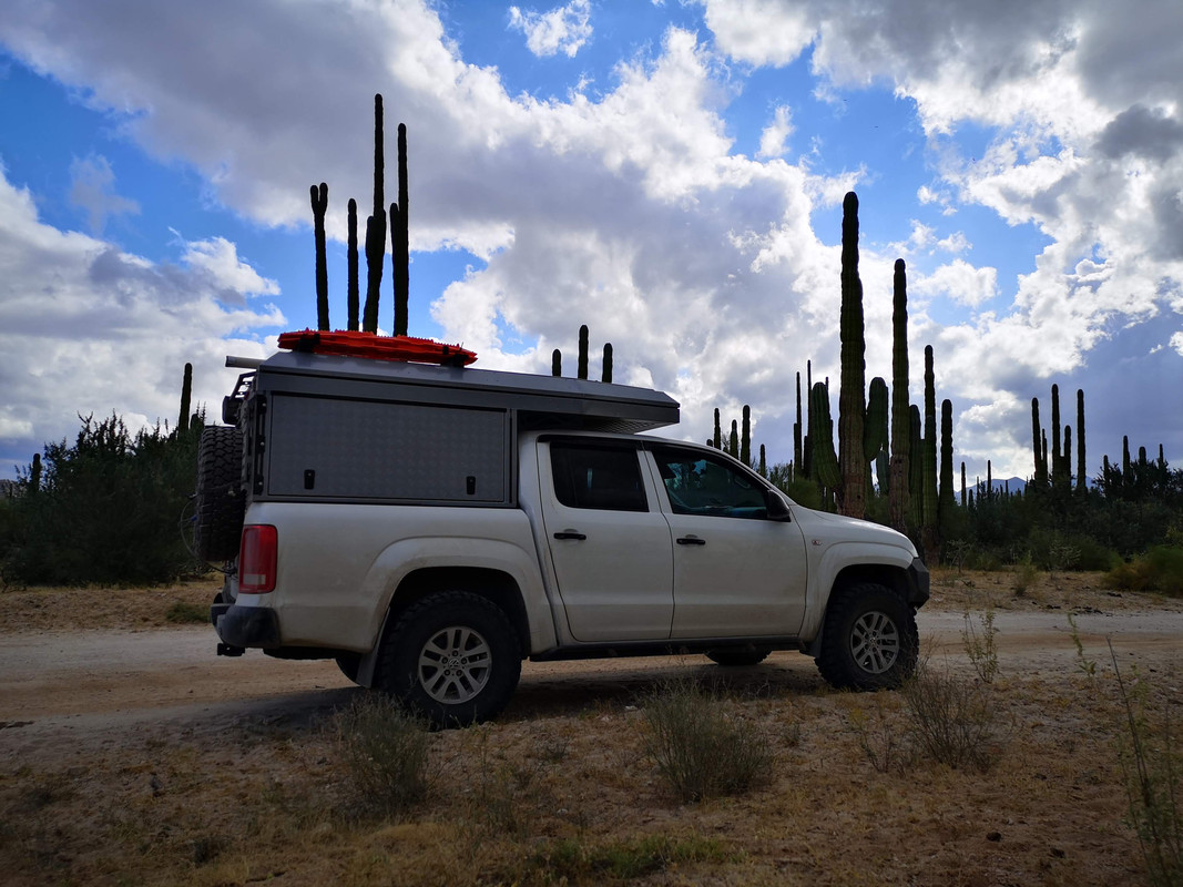 IMG_20191120_133457 (1)