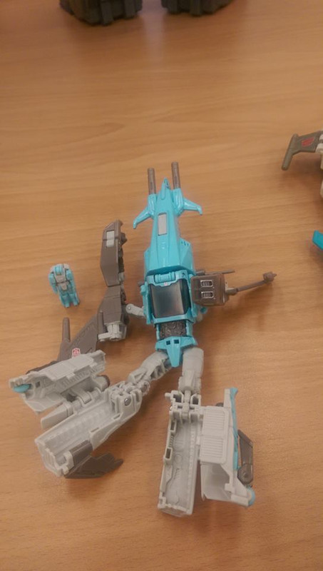 13319760_272306926453075_5572259948927998975_n