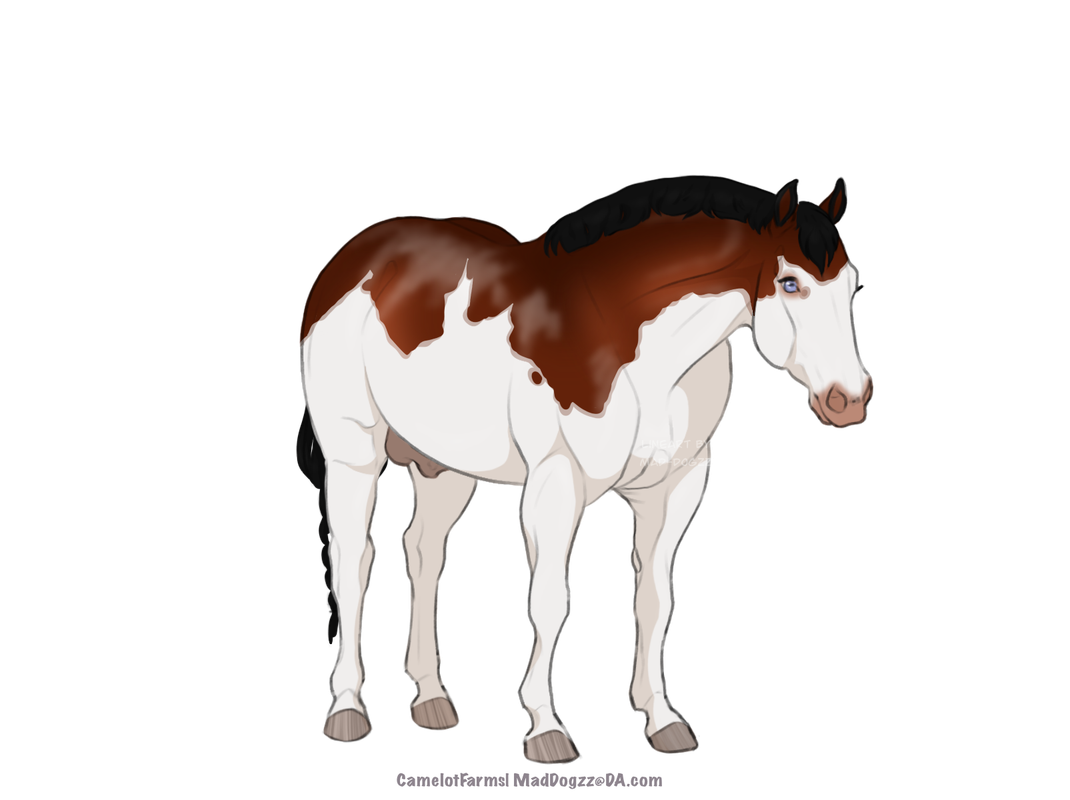 56681BCF-69A5-4289-B1D7-4012B9E2CC31