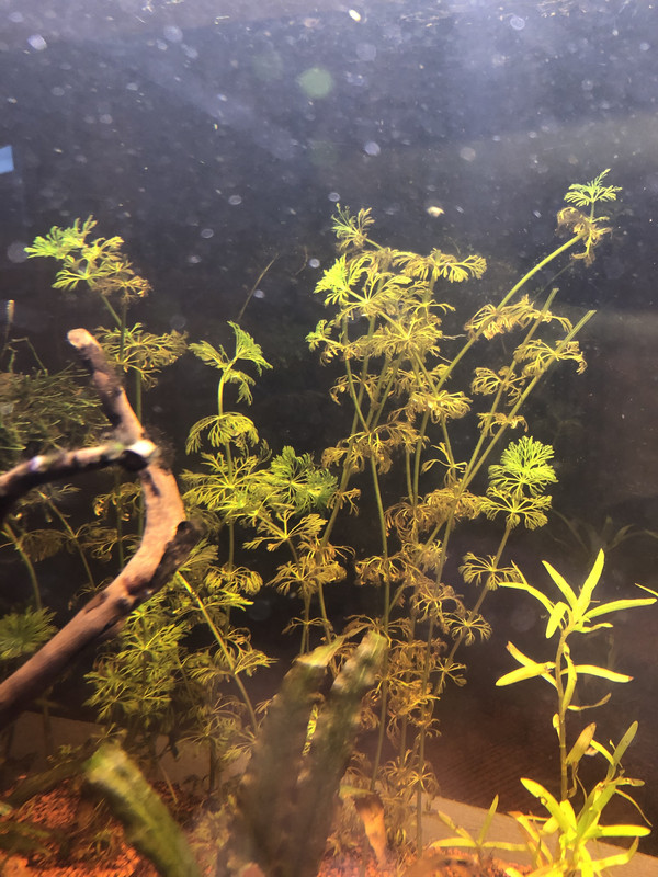 59678362-B680-467A-ACEE-6B048AE9D3B2