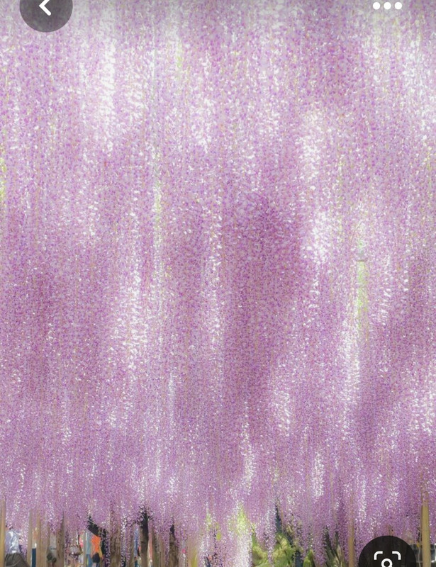 Screenshot_20230518_005341_Pinterest