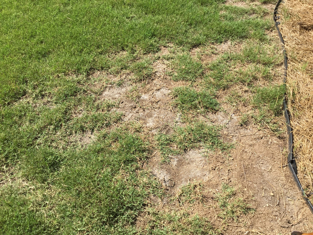 771EF02B-E9C8-4943-96E2-EDA130914B4F