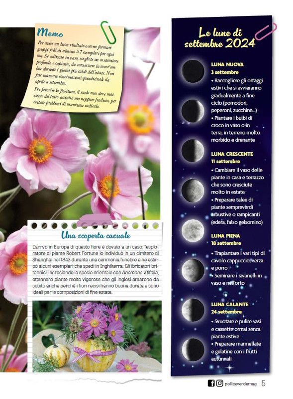 Pol Ver Set 2024 (2)