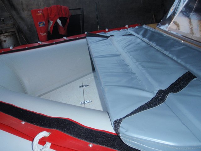 mimosos en berisso 209