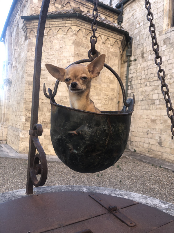 CD96A455-BFE6-4D3D-BCC0-30B14B2DE14B