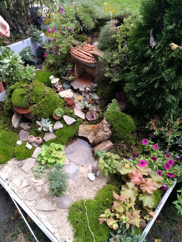 город-сад 2017-1-19