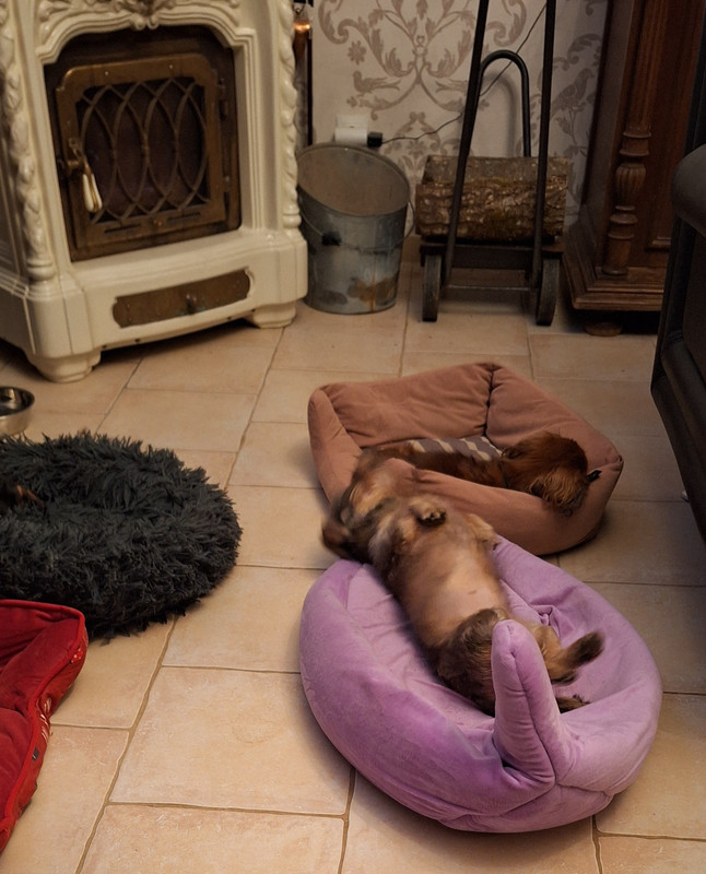 [Image: 20251124-192204.jpg]