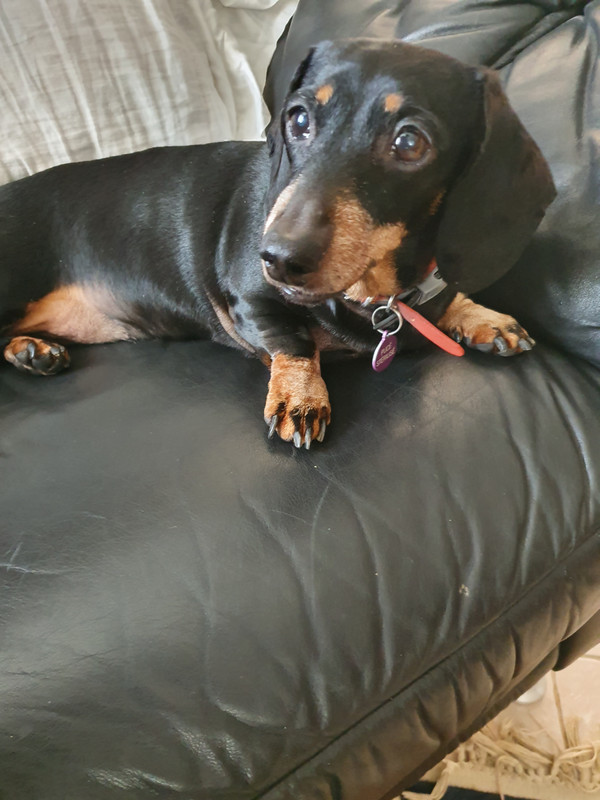 [Image: 20220314-143420.jpg]