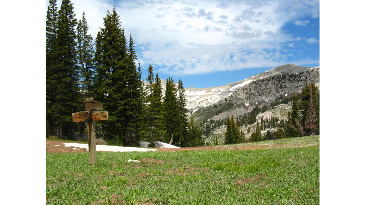 Peak-A-Week: Box Elder Peak