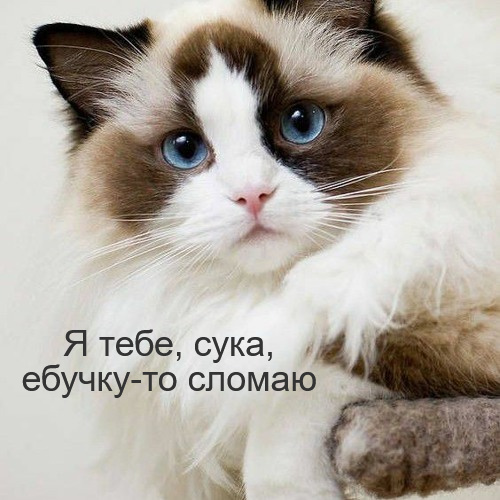 artworks-Qqla-Gu-VRvmi-Ro-Miz-do3jrw-t500x500-3.jpg
