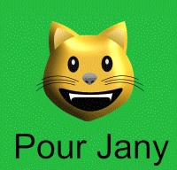 chat et souris pour jany